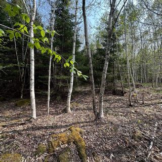 Photo 4: Lot 5 Raspberry Court in Italy Cross: 405-Lunenburg County Vacant Land for sale (South Shore)  : MLS®# 202309674