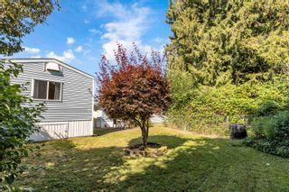 Photo 27: 31 19707 POPLAR Drive in Pitt Meadows: Central Meadows Manufactured Home for sale in "Meadow Highlands" : MLS®# R2801419