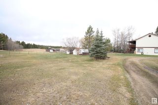 Photo 4: 473044 RGE RD 243: Rural Wetaskiwin County House for sale : MLS®# E4290929