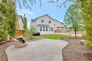 Photo 41: 125 COPPERPOND Green SE in Calgary: Copperfield Detached for sale : MLS®# C4299427
