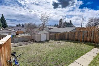 Photo 29: 5015 Whitehorn Drive NE in Calgary: Whitehorn Detached for sale : MLS®# A2131299