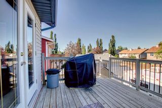 Photo 17: 309 Strathford Boulevard: Strathmore Detached for sale : MLS®# A1238310
