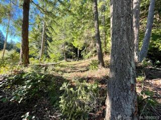 Photo 13: 431 Southern Edge Rd in Thetis Island: Isl Thetis Island Land for sale (Islands)  : MLS®# 900353