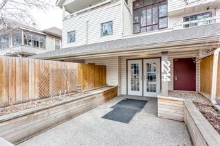 Photo 21: 303 2214 14A Street SW in Calgary: Bankview Apartment for sale : MLS®# A1212171