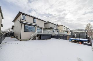 Photo 40: 15 Martha’s Way NE in Calgary: Martindale Detached for sale : MLS®# A1186356