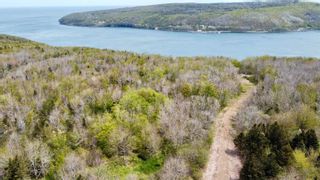 Photo 5: Lot Lighthouse Road in Bay View: Digby County Vacant Land for sale (Annapolis Valley)  : MLS®# 202227031