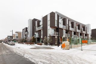 Photo 12: 206 3130 Thirsk Street NW in Calgary: University District Apartment for sale : MLS®# A2031981