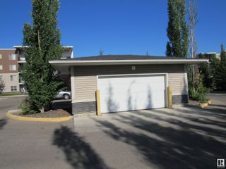 Photo 24: 206 11803 22 Avenue SW in Edmonton: Zone 55 Condo for sale : MLS®# E4311109
