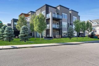 Main Photo: 301 15207 1 Street SE in Calgary: Midnapore Apartment for sale : MLS®# A2075461