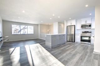Photo 11: 212 Rundlefield Road NE in Calgary: Rundle Detached for sale : MLS®# A1166043