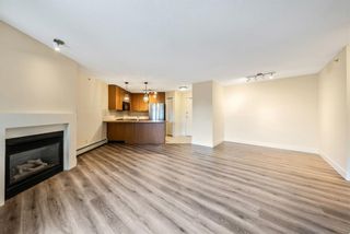 Photo 10: 435 35 Richard Court SW in Calgary: Lincoln Park Apartment for sale : MLS®# A1257333