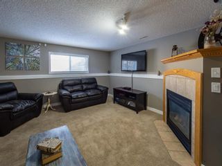Photo 21: 139 Springs Crescent SE: Airdrie Detached for sale : MLS®# A1065825