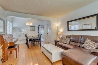 Photo 12: 3619 DUNDAS Street in Vancouver: Hastings East House for sale (Vancouver East)  : MLS®# R2127066
