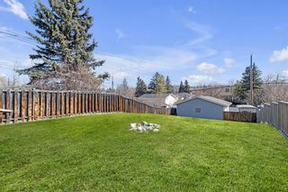 Photo 5: A and B 4506 70 Street NW in Calgary: Bowness Full Duplex for sale : MLS®# A2132079