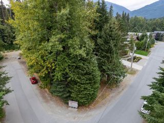 Photo 29: 7501 AMBASSADOR Crescent in Whistler: White Gold House for sale in "White Gold" : MLS®# R2750474