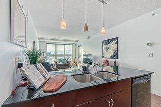 Photo 10: 814 8880 Horton Road SW in Calgary: Haysboro Apartment for sale : MLS®# A2022523
