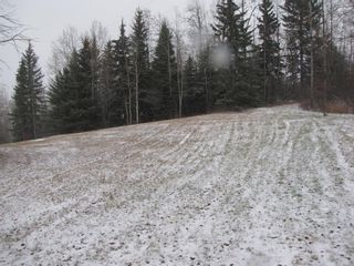 Photo 18: 45065A TWP Rd 360 Road: Rural Clearwater County Recreational for sale : MLS®# A2009538