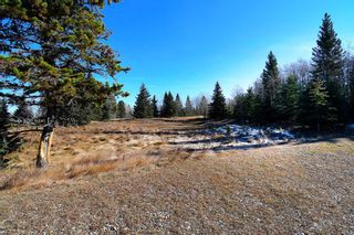 Photo 30: 20.02 Acres +/- NW of Cochrane in Rural Rocky View County: Rural Rocky View MD Land for sale : MLS®# A1065950