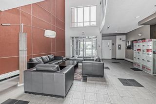 Photo 37: 321 2727 28 Avenue SE in Calgary: Dover Apartment for sale : MLS®# A2022433