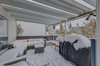 Photo 29: 320 Meadowbrook Bay SE: Airdrie Detached for sale : MLS®# A2090316