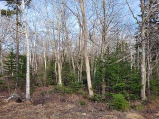 Photo 2: Lot Lighthouse Road in Bay View: 401-Digby County Vacant Land for sale (Annapolis Valley)  : MLS®# 202106948