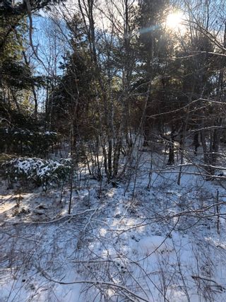 Photo 13: Lot 5 Lakeview Drive in Lake La Rose: Annapolis County Vacant Land for sale (Annapolis Valley)  : MLS®# 202300542