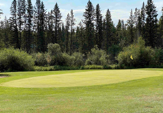 Photo 23: 9 holes golf course for sale Alberta: Business with Property for sale : MLS®# 4284694