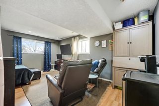 Photo 29: 32 Mckinley Rise SE in Calgary: McKenzie Lake Detached for sale : MLS®# A1202202
