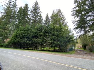 Photo 39: 3932 York Rd in Campbell River: CR Campbell River South House for sale : MLS®# 905311