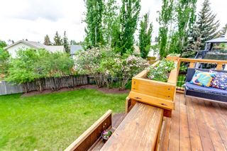Photo 17: 46 Shannon Terrace SW in Calgary: Shawnessy Detached for sale : MLS®# A1231327
