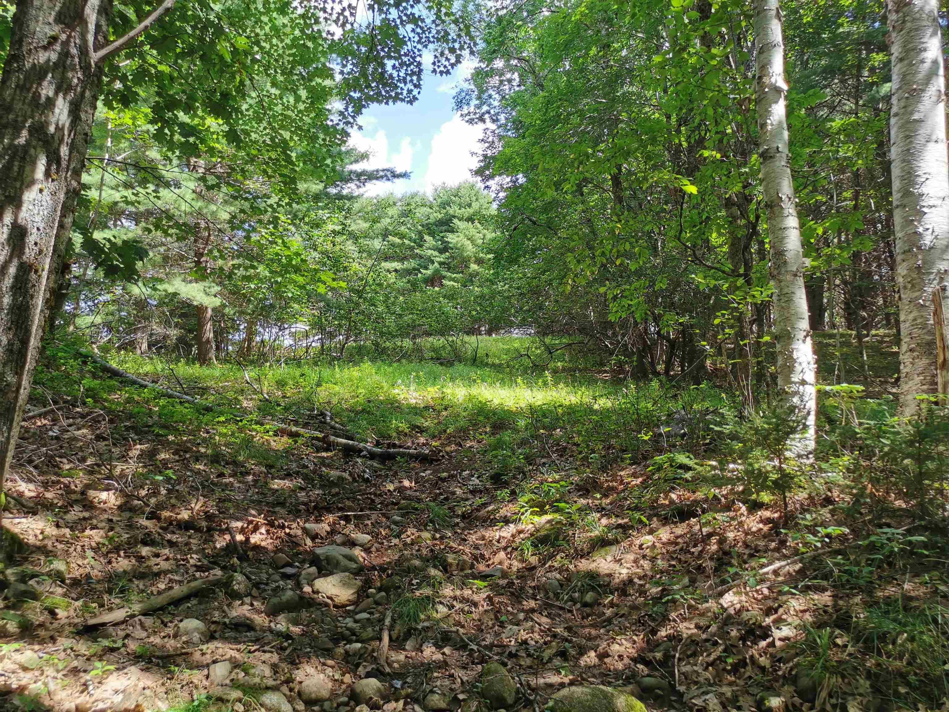 Main Photo: 1817 Northwest Road in Blockhouse: 405-Lunenburg County Vacant Land for sale (South Shore)  : MLS®# 202318168