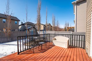 Photo 40: 31 Bridlerange Circle SW in Calgary: Bridlewood Detached for sale : MLS®# A2037619