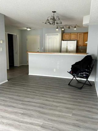 Photo 20: 118 92 Saddletree Court NE in Calgary: Saddle Ridge Apartment for sale : MLS®# A2121337