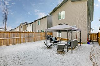Photo 27: 81 Copperpond Parade SE in Calgary: Copperfield Detached for sale : MLS®# A1208675