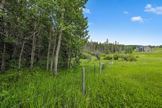Photo 8: 0 Parkins Road: Millarville Residential Land for sale : MLS®# A1257087