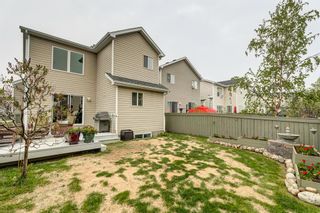 Photo 25: 9 Royal Elm Mews NW in Calgary: Royal Oak Detached for sale : MLS®# A2050149