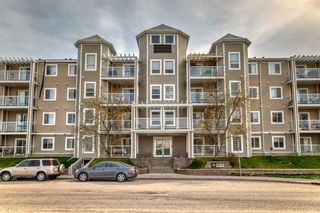Photo 41: 310 270 Shawville Way SE in Calgary: Shawnessy Apartment for sale : MLS®# A2130341