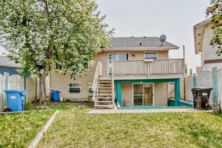 Photo 43: 36 Templeson Road NE in Calgary: Temple Detached for sale : MLS®# A2050364