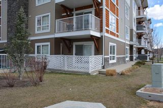 Photo 27: 3102 302 Skyview Ranch Drive NE in Calgary: Skyview Ranch Apartment for sale : MLS®# A2118945