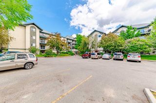 Photo 2: 313 21 Dover Point SE in Calgary: Dover Apartment for sale : MLS®# A2142317