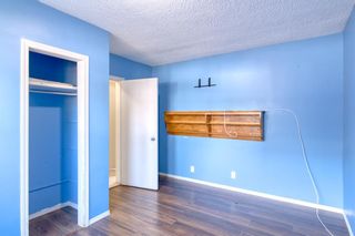 Photo 15: 3711 Bell Street NW in Calgary: Brentwood Detached for sale : MLS®# A1233500