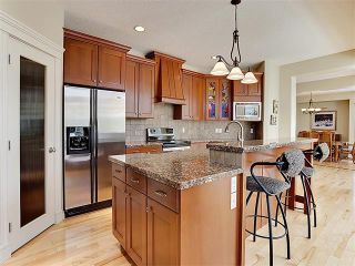 Photo 7: 72 DISCOVERY RIDGE Circle SW in Calgary: Discovery Ridge House for sale : MLS®# C4003350