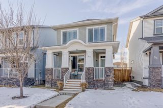 Main Photo: 47 Legacy Crescent SE in Calgary: Legacy Detached for sale : MLS®# A1175811