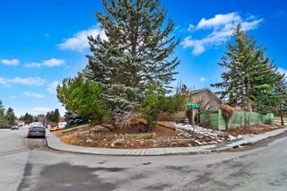 Photo 12: 7352 Silver Springs Road NW in Calgary: Silver Springs Detached for sale : MLS®# A1183687