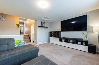 Photo 25: 20 Hillcrest Link SW: Airdrie Detached for sale : MLS®# A2020302