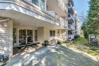 Photo 15: 404 12206 224 STREET in Maple Ridge: East Central Condo for sale : MLS®# R2573864