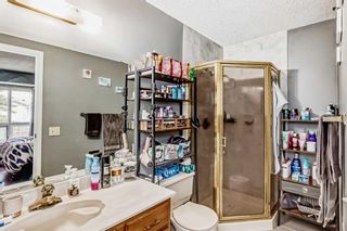 Photo 22: 4630 43 Street NE in Calgary: Whitehorn Detached for sale : MLS®# A2130705