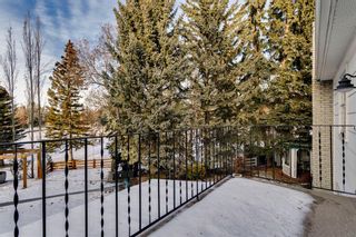 Photo 34: 404 Wilderness Place SE in Calgary: Willow Park Detached for sale : MLS®# A2017350