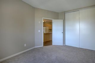 Photo 17: 4104 73 Erin Woods Court SE in Calgary: Erin Woods Apartment for sale : MLS®# A1042999