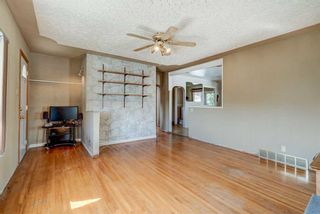 Photo 18: 2806 12 Avenue SE in Calgary: Albert Park/Radisson Heights Detached for sale : MLS®# A2081305